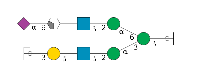 b1D-GlcNAc,p/#ccleavage--4b1D-Man,p(--3a1D-Man,p--2b1D-GlcNAc,p--?b1D-Gal,p--3a2D-NeuAc,p/#ycleavage)--6a1D-Man,p--2b1D-GlcNAc,p--?b1D-Gal,p/#xcleavage_2_4--6a2D-NeuAc,p$MONO,Und,-H,0,redEnd