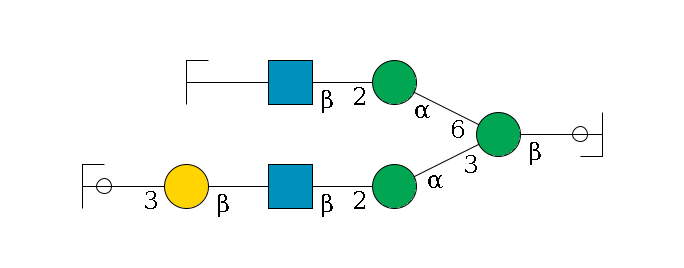 b1D-GlcNAc,p/#ccleavage--4b1D-Man,p(--3a1D-Man,p--2b1D-GlcNAc,p--?b1D-Gal,p--3a2D-NeuAc,p/#ycleavage)--6a1D-Man,p--2b1D-GlcNAc,p--?b1D-Gal,p/#zcleavage$MONO,Und,-2H,0,redEnd