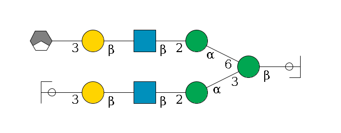 b1D-GlcNAc,p/#ccleavage--4b1D-Man,p(--3a1D-Man,p--2b1D-GlcNAc,p--?b1D-Gal,p--3a2D-NeuAc,p/#ycleavage)--6a1D-Man,p--2b1D-GlcNAc,p--?b1D-Gal,p--3a2D-NeuAc,p/#xcleavage_1_3$MONO,Und,-H,0,redEnd