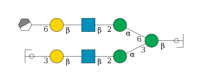 b1D-GlcNAc,p/#ccleavage--4b1D-Man,p(--3a1D-Man,p--2b1D-GlcNAc,p--?b1D-Gal,p--3a2D-NeuAc,p/#ycleavage)--6a1D-Man,p--2b1D-GlcNAc,p--?b1D-Gal,p--6a2D-NeuAc,p/#xcleavage_0_3$MONO,Und,-H,0,redEnd