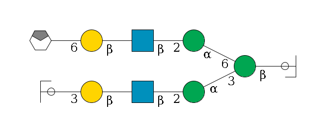 b1D-GlcNAc,p/#ccleavage--4b1D-Man,p(--3a1D-Man,p--2b1D-GlcNAc,p--?b1D-Gal,p--3a2D-NeuAc,p/#ycleavage)--6a1D-Man,p--2b1D-GlcNAc,p--?b1D-Gal,p--6a2D-NeuAc,p/#xcleavage_0_4$MONO,Und,-H,0,redEnd