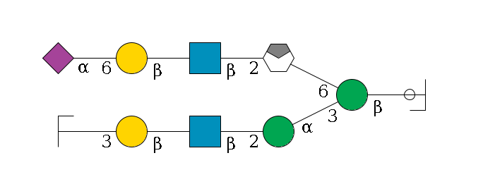b1D-GlcNAc,p/#ccleavage--4b1D-Man,p(--3a1D-Man,p--2b1D-GlcNAc,p--?b1D-Gal,p--3a2D-NeuAc,p/#zcleavage)--6a1D-Man,p/#xcleavage_0_4--2b1D-GlcNAc,p--?b1D-Gal,p--6a2D-NeuAc,p$MONO,Und,-H,0,redEnd