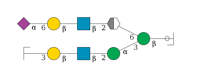 b1D-GlcNAc,p/#ccleavage--4b1D-Man,p(--3a1D-Man,p--2b1D-GlcNAc,p--?b1D-Gal,p--3a2D-NeuAc,p/#zcleavage)--6a1D-Man,p/#xcleavage_2_5--2b1D-GlcNAc,p--?b1D-Gal,p--6a2D-NeuAc,p$MONO,Und,-H,0,redEnd