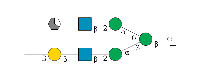 b1D-GlcNAc,p/#ccleavage--4b1D-Man,p(--3a1D-Man,p--2b1D-GlcNAc,p--?b1D-Gal,p--3a2D-NeuAc,p/#zcleavage)--6a1D-Man,p--2b1D-GlcNAc,p--?b1D-Gal,p/#xcleavage_1_5$MONO,Und,-H,0,redEnd