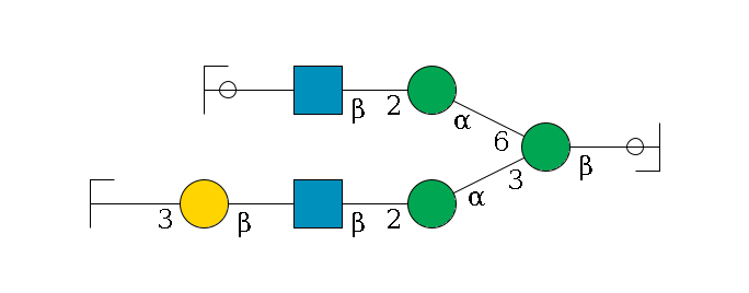 b1D-GlcNAc,p/#ccleavage--4b1D-Man,p(--3a1D-Man,p--2b1D-GlcNAc,p--?b1D-Gal,p--3a2D-NeuAc,p/#zcleavage)--6a1D-Man,p--2b1D-GlcNAc,p--?b1D-Gal,p/#ycleavage$MONO,Und,-H,0,redEnd