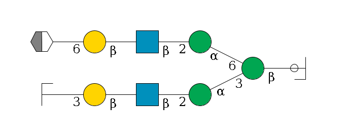 b1D-GlcNAc,p/#ccleavage--4b1D-Man,p(--3a1D-Man,p--2b1D-GlcNAc,p--?b1D-Gal,p--3a2D-NeuAc,p/#zcleavage)--6a1D-Man,p--2b1D-GlcNAc,p--?b1D-Gal,p--6a2D-NeuAc,p/#xcleavage_2_5$MONO,Und,-2H,0,redEnd