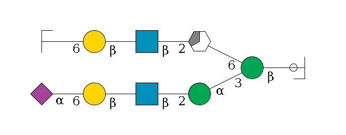 b1D-GlcNAc,p/#ccleavage--4b1D-Man,p(--3a1D-Man,p--2b1D-GlcNAc,p--?b1D-Gal,p--6a2D-NeuAc,p)--6a1D-Man,p/#xcleavage_3_5--2b1D-GlcNAc,p--?b1D-Gal,p--6a2D-NeuAc,p/#zcleavage$MONO,Und,-2H,0,redEnd