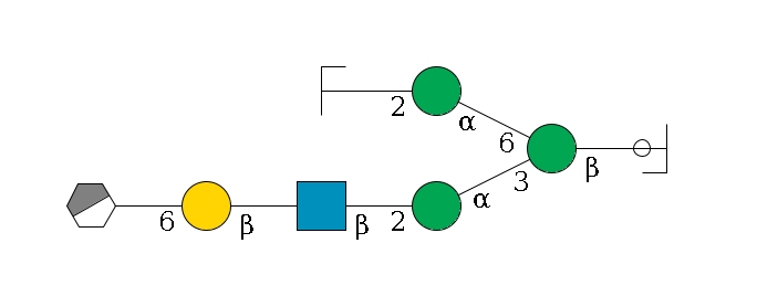 b1D-GlcNAc,p/#ccleavage--4b1D-Man,p(--3a1D-Man,p--2b1D-GlcNAc,p--?b1D-Gal,p--6a2D-NeuAc,p/#xcleavage_0_3)--6a1D-Man,p--2b1D-GlcNAc,p/#zcleavage$MONO,Und,-H,0,redEnd
