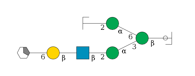 b1D-GlcNAc,p/#ccleavage--4b1D-Man,p(--3a1D-Man,p--2b1D-GlcNAc,p--?b1D-Gal,p--6a2D-NeuAc,p/#xcleavage_1_5)--6a1D-Man,p--2b1D-GlcNAc,p/#zcleavage$MONO,Und,-2H,0,redEnd