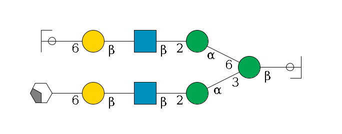 b1D-GlcNAc,p/#ccleavage--4b1D-Man,p(--3a1D-Man,p--2b1D-GlcNAc,p--?b1D-Gal,p--6a2D-NeuAc,p/#xcleavage_2_4)--6a1D-Man,p--2b1D-GlcNAc,p--?b1D-Gal,p--6a2D-NeuAc,p/#ycleavage$MONO,Und,-2H,0,redEnd