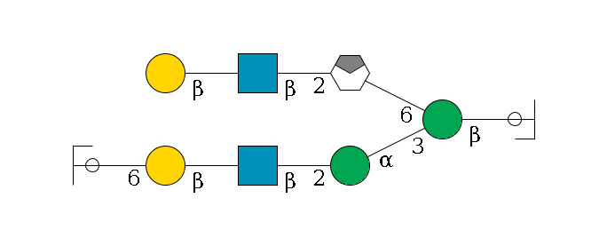 b1D-GlcNAc,p/#ccleavage--4b1D-Man,p(--3a1D-Man,p--2b1D-GlcNAc,p--?b1D-Gal,p--6a2D-NeuAc,p/#ycleavage)--6a1D-Man,p/#xcleavage_0_4--2b1D-GlcNAc,p--?b1D-Gal,p$MONO,Und,-2H,0,redEnd
