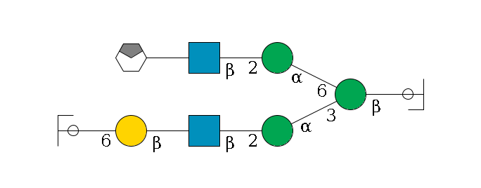 b1D-GlcNAc,p/#ccleavage--4b1D-Man,p(--3a1D-Man,p--2b1D-GlcNAc,p--?b1D-Gal,p--6a2D-NeuAc,p/#ycleavage)--6a1D-Man,p--2b1D-GlcNAc,p--?b1D-Gal,p/#xcleavage_0_4$MONO,Und,-2H,0,redEnd