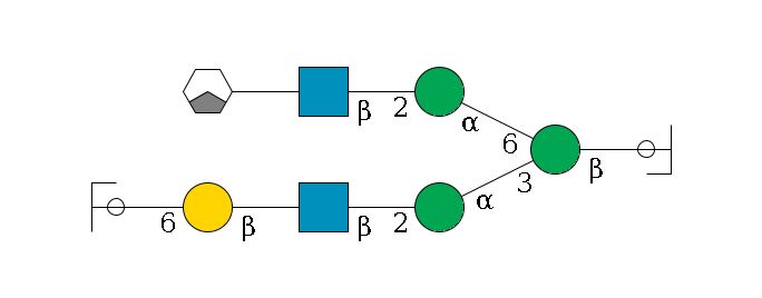 b1D-GlcNAc,p/#ccleavage--4b1D-Man,p(--3a1D-Man,p--2b1D-GlcNAc,p--?b1D-Gal,p--6a2D-NeuAc,p/#ycleavage)--6a1D-Man,p--2b1D-GlcNAc,p--?b1D-Gal,p/#xcleavage_1_3$MONO,Und,-2H,0,redEnd