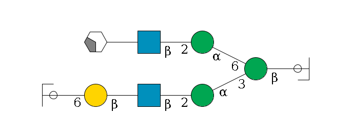 b1D-GlcNAc,p/#ccleavage--4b1D-Man,p(--3a1D-Man,p--2b1D-GlcNAc,p--?b1D-Gal,p--6a2D-NeuAc,p/#ycleavage)--6a1D-Man,p--2b1D-GlcNAc,p--?b1D-Gal,p/#xcleavage_2_4$MONO,Und,-2H,0,redEnd
