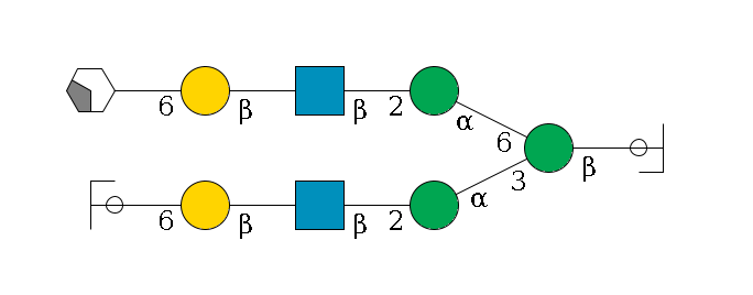 b1D-GlcNAc,p/#ccleavage--4b1D-Man,p(--3a1D-Man,p--2b1D-GlcNAc,p--?b1D-Gal,p--6a2D-NeuAc,p/#ycleavage)--6a1D-Man,p--2b1D-GlcNAc,p--?b1D-Gal,p--6a2D-NeuAc,p/#xcleavage_2_4$MONO,Und,-2H,0,redEnd