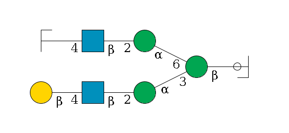b1D-GlcNAc,p/#ccleavage--4b1D-Man,p(--3a1D-Man,p--2b1D-GlcNAc,p--4b1D-Gal,p)--6a1D-Man,p--2b1D-GlcNAc,p--4b1D-Gal,p/#zcleavage$MONO,Und,-2H,0,redEnd