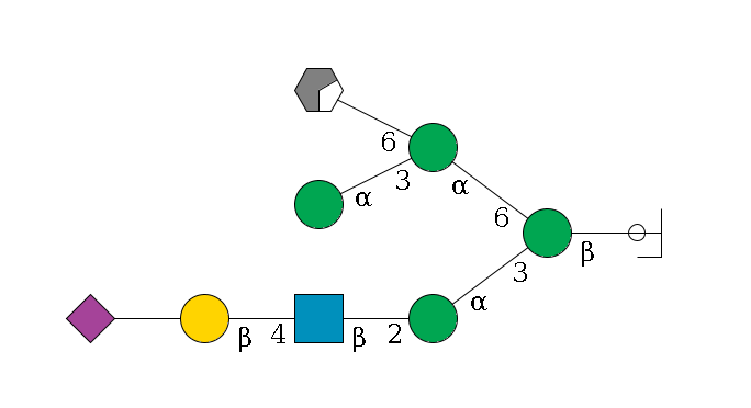 b1D-GlcNAc,p/#ccleavage--4b1D-Man,p(--3a1D-Man,p--2b1D-GlcNAc,p--4b1D-Gal,p--??2D-NeuAc,p)--6a1D-Man,p(--3a1D-Man,p)--6a1D-Man,p/#xcleavage_0_2$MONO,Und,-2H,0,redEnd
