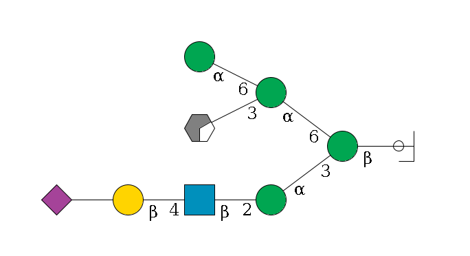 b1D-GlcNAc,p/#ccleavage--4b1D-Man,p(--3a1D-Man,p--2b1D-GlcNAc,p--4b1D-Gal,p--??2D-NeuAc,p)--6a1D-Man,p(--3a1D-Man,p/#xcleavage_0_2)--6a1D-Man,p$MONO,Und,-2H,0,redEnd
