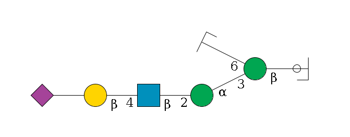 b1D-GlcNAc,p/#ccleavage--4b1D-Man,p(--3a1D-Man,p--2b1D-GlcNAc,p--4b1D-Gal,p--??2D-NeuAc,p)--6a1D-Man,p/#zcleavage$MONO,Und,-H,0,redEnd