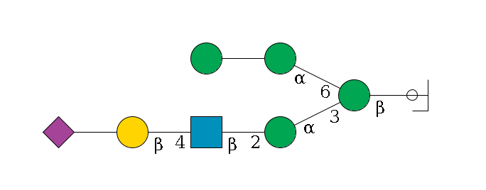 b1D-GlcNAc,p/#ccleavage--4b1D-Man,p(--3a1D-Man,p--2b1D-GlcNAc,p--4b1D-Gal,p--??2D-NeuAc,p)--6a1D-Man,p--??1D-Man,p$MONO,Und,-H,0,redEnd