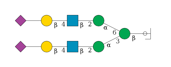b1D-GlcNAc,p/#ccleavage--4b1D-Man,p(--3a1D-Man,p--2b1D-GlcNAc,p--4b1D-Gal,p--??2D-NeuAc,p)--6a1D-Man,p--2b1D-GlcNAc,p--4b1D-Gal,p--??2D-NeuAc,p$MONO,Und,-2H,0,redEnd