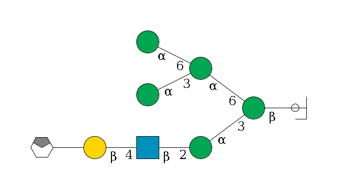 b1D-GlcNAc,p/#ccleavage--4b1D-Man,p(--3a1D-Man,p--2b1D-GlcNAc,p--4b1D-Gal,p--??2D-NeuAc,p/#xcleavage_0_4)--6a1D-Man,p(--3a1D-Man,p)--6a1D-Man,p$MONO,Und,-2H,0,redEnd