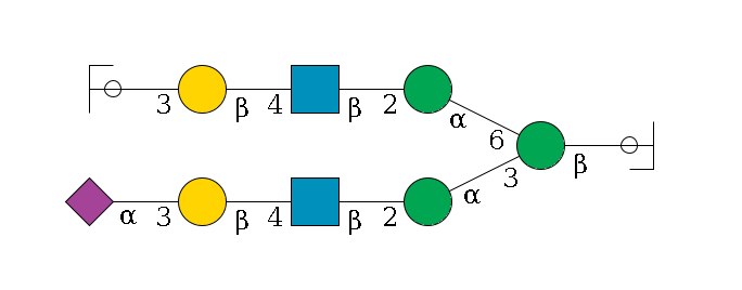 b1D-GlcNAc,p/#ccleavage--4b1D-Man,p(--3a1D-Man,p--2b1D-GlcNAc,p--4b1D-Gal,p--3a2D-NeuAc,p)--6a1D-Man,p--2b1D-GlcNAc,p--4b1D-Gal,p--3a2D-NeuAc,p/#ycleavage$MONO,Und,-H,0,redEnd