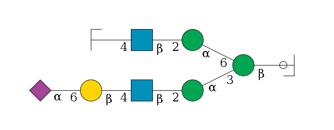 b1D-GlcNAc,p/#ccleavage--4b1D-Man,p(--3a1D-Man,p--2b1D-GlcNAc,p--4b1D-Gal,p--6a2D-NeuAc,p)--6a1D-Man,p--2b1D-GlcNAc,p--4b1D-Gal,p/#zcleavage$MONO,Und,-2H,0,redEnd