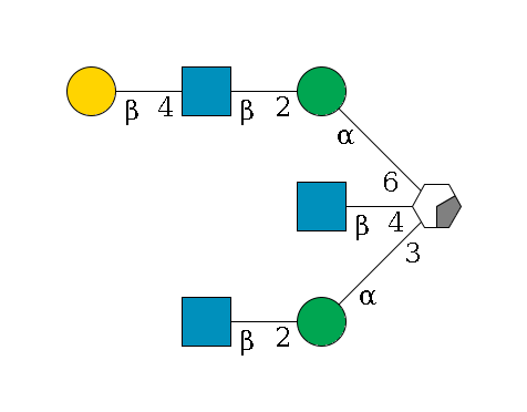 b1D-Man,p/#acleavage_0_2((--3a1D-Man,p--2b1D-GlcNAc,p)--4b1D-GlcNAc,p)--6a1D-Man,p--2b1D-GlcNAc,p--4b1D-Gal,p$MONO,Und,-2H,0,redEnd