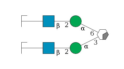 b1D-Man,p/#acleavage_0_2(--3a1D-Man,p--2b1D-GlcNAc,p--?b1D-Gal,p/#zcleavage)--6a1D-Man,p--2b1D-GlcNAc,p--?b1D-Gal,p/#zcleavage$MONO,Und,-2H,0,redEnd