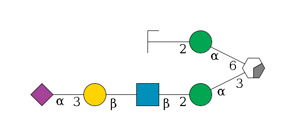 b1D-Man,p/#acleavage_0_2(--3a1D-Man,p--2b1D-GlcNAc,p--?b1D-Gal,p--3a2D-NeuAc,p)--6a1D-Man,p--2b1D-GlcNAc,p/#zcleavage$MONO,Und,-H,0,redEnd