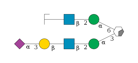 b1D-Man,p/#acleavage_0_2(--3a1D-Man,p--2b1D-GlcNAc,p--?b1D-Gal,p--3a2D-NeuAc,p)--6a1D-Man,p--2b1D-GlcNAc,p--?b1D-Gal,p/#zcleavage$MONO,Und,-2H,0,redEnd