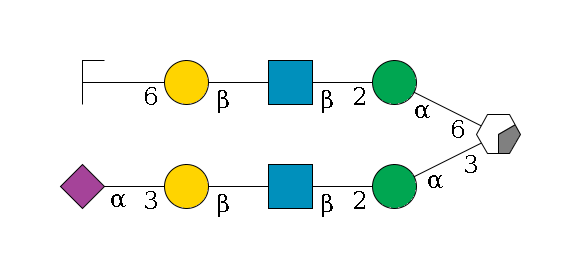 b1D-Man,p/#acleavage_0_2(--3a1D-Man,p--2b1D-GlcNAc,p--?b1D-Gal,p--3a2D-NeuAc,p)--6a1D-Man,p--2b1D-GlcNAc,p--?b1D-Gal,p--6a2D-NeuAc,p/#zcleavage$MONO,Und,-H,0,redEnd