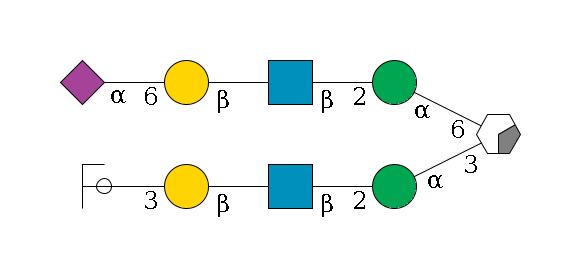 b1D-Man,p/#acleavage_0_2(--3a1D-Man,p--2b1D-GlcNAc,p--?b1D-Gal,p--3a2D-NeuAc,p/#ycleavage)--6a1D-Man,p--2b1D-GlcNAc,p--?b1D-Gal,p--6a2D-NeuAc,p$MONO,Und,-H,0,redEnd