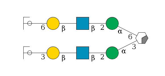 b1D-Man,p/#acleavage_0_2(--3a1D-Man,p--2b1D-GlcNAc,p--?b1D-Gal,p--3a2D-NeuAc,p/#ycleavage)--6a1D-Man,p--2b1D-GlcNAc,p--?b1D-Gal,p--6a2D-NeuAc,p/#ycleavage$MONO,Und,-2H,0,redEnd