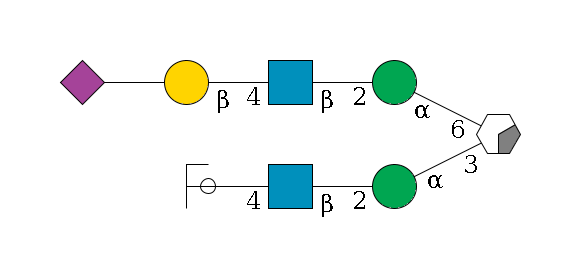 b1D-Man,p/#acleavage_0_2(--3a1D-Man,p--2b1D-GlcNAc,p--4b1D-Gal,p/#ycleavage)--6a1D-Man,p--2b1D-GlcNAc,p--4b1D-Gal,p--??2D-NeuAc,p$MONO,Und,-H,0,redEnd