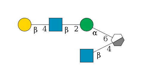 b1D-Man,p/#acleavage_0_3(--4b1D-GlcNAc,p)--6a1D-Man,p--2b1D-GlcNAc,p--4b1D-Gal,p$MONO,Und,-2H,0,redEnd
