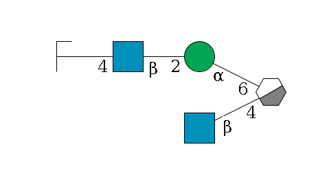 b1D-Man,p/#acleavage_0_3(--4b1D-GlcNAc,p)--6a1D-Man,p--2b1D-GlcNAc,p--4b1D-Gal,p/#zcleavage$MONO,Und,-H,0,redEnd
