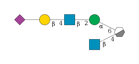 b1D-Man,p/#acleavage_0_3(--4b1D-GlcNAc,p)--6a1D-Man,p--2b1D-GlcNAc,p--4b1D-Gal,p--??2D-NeuAc,p$MONO,Und,-H,0,redEnd
