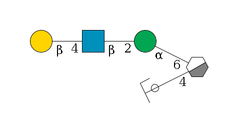 b1D-Man,p/#acleavage_0_3(--4b1D-GlcNAc,p/#ycleavage)--6a1D-Man,p--2b1D-GlcNAc,p--4b1D-Gal,p$MONO,Und,-H,0,redEnd