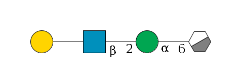 b1D-Man,p/#acleavage_0_3--6a1D-Man,p--2b1D-GlcNAc,p--??1D-Gal,p$MONO,Und,-H,0,redEnd