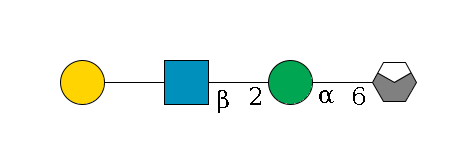 b1D-Man,p/#acleavage_0_4--6a1D-Man,p--2b1D-GlcNAc,p--??1D-Gal,p$MONO,Und,-H,0,redEnd