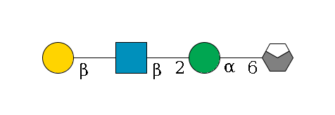 b1D-Man,p/#acleavage_0_4--6a1D-Man,p--2b1D-GlcNAc,p--?b1D-Gal,p$MONO,Und,-H,0,redEnd