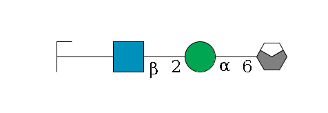 b1D-Man,p/#acleavage_0_4--6a1D-Man,p--2b1D-GlcNAc,p--?b1D-Gal,p/#zcleavage$MONO,Und,-H,0,redEnd
