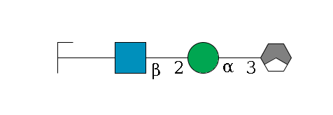 b1D-Man,p/#acleavage_1_3--3a1D-Man,p--2b1D-GlcNAc,p--?b1D-Gal,p/#zcleavage$MONO,Und,-H,0,redEnd