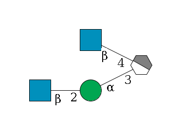 b1D-Man,p/#acleavage_1_4(--3a1D-Man,p--2b1D-GlcNAc,p)--4b1D-GlcNAc,p$MONO,Und,-H,0,redEnd