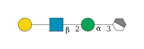 b1D-Man,p/#acleavage_1_4--3a1D-Man,p--2b1D-GlcNAc,p--??1D-Gal,p$MONO,Und,-H,0,redEnd