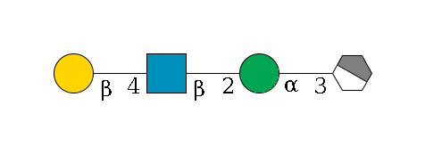 b1D-Man,p/#acleavage_1_4--3a1D-Man,p--2b1D-GlcNAc,p--4b1D-Gal,p$MONO,Und,-2H,0,redEnd