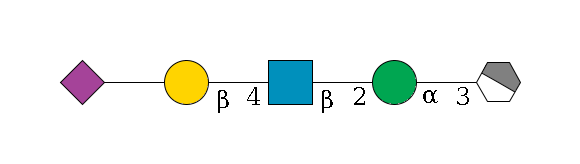 b1D-Man,p/#acleavage_1_4--3a1D-Man,p--2b1D-GlcNAc,p--4b1D-Gal,p--??2D-NeuAc,p$MONO,Und,-H,0,redEnd