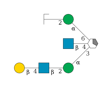 b1D-Man,p/#acleavage_1_5((--3a1D-Man,p--2b1D-GlcNAc,p--4b1D-Gal,p)--4b1D-GlcNAc,p)--6a1D-Man,p--2b1D-GlcNAc,p/#zcleavage$MONO,Und,-H,0,redEnd